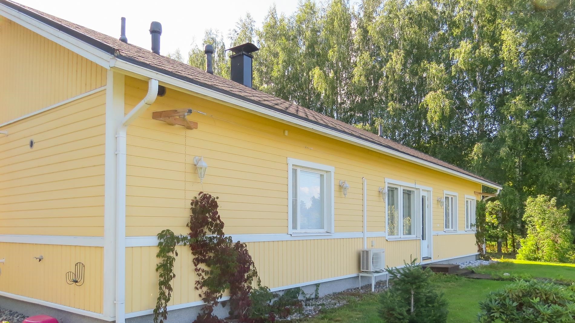 Kohdekuva 19