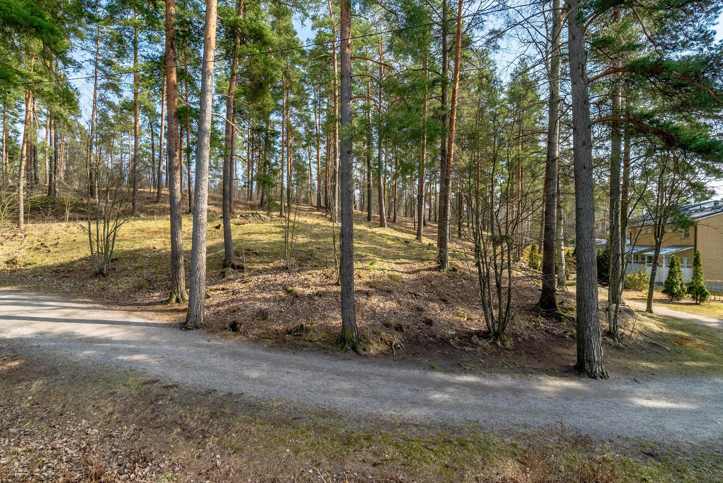 Kohdekuva 24