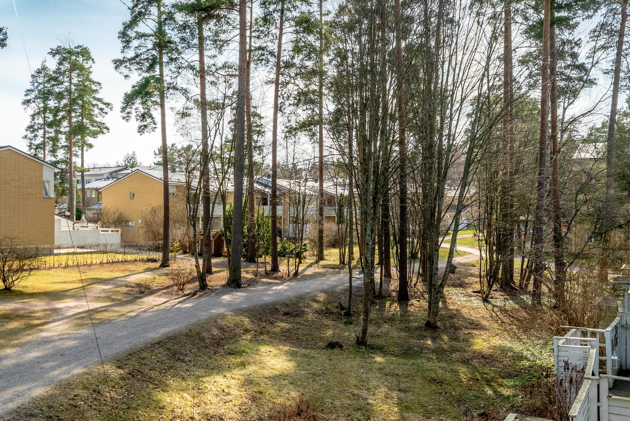 Kohdekuva 23