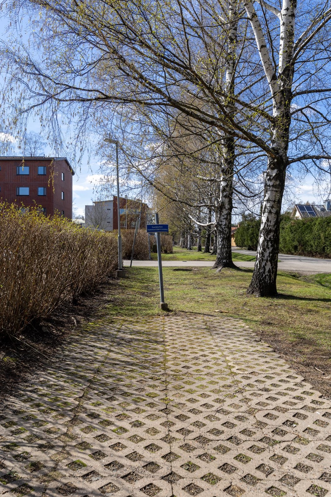 Kohdekuva 17