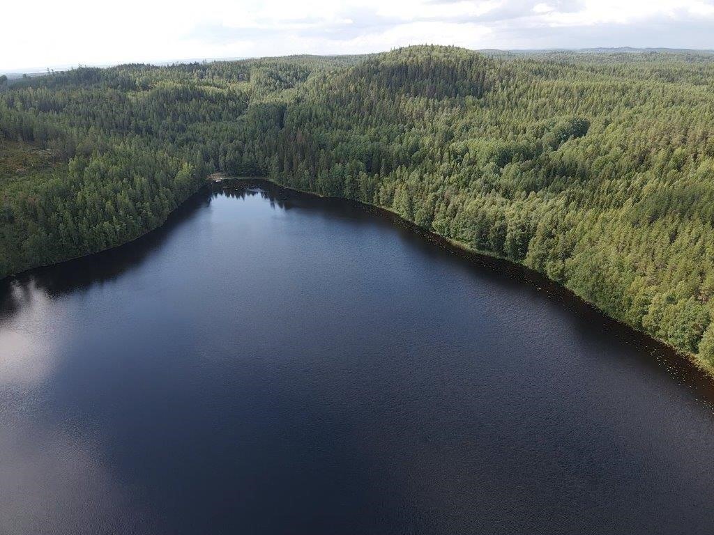 Kohdekuva 39