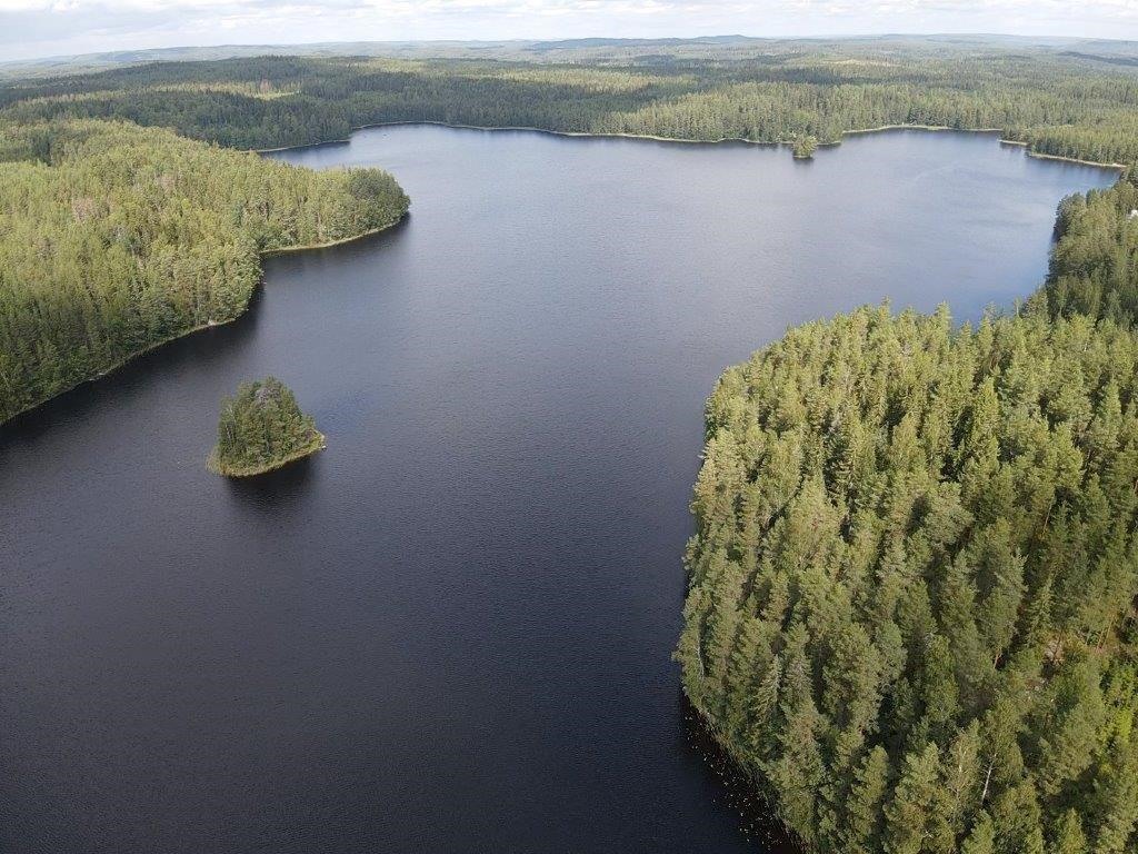 Kohdekuva 41