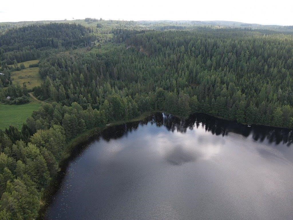 Kohdekuva 40