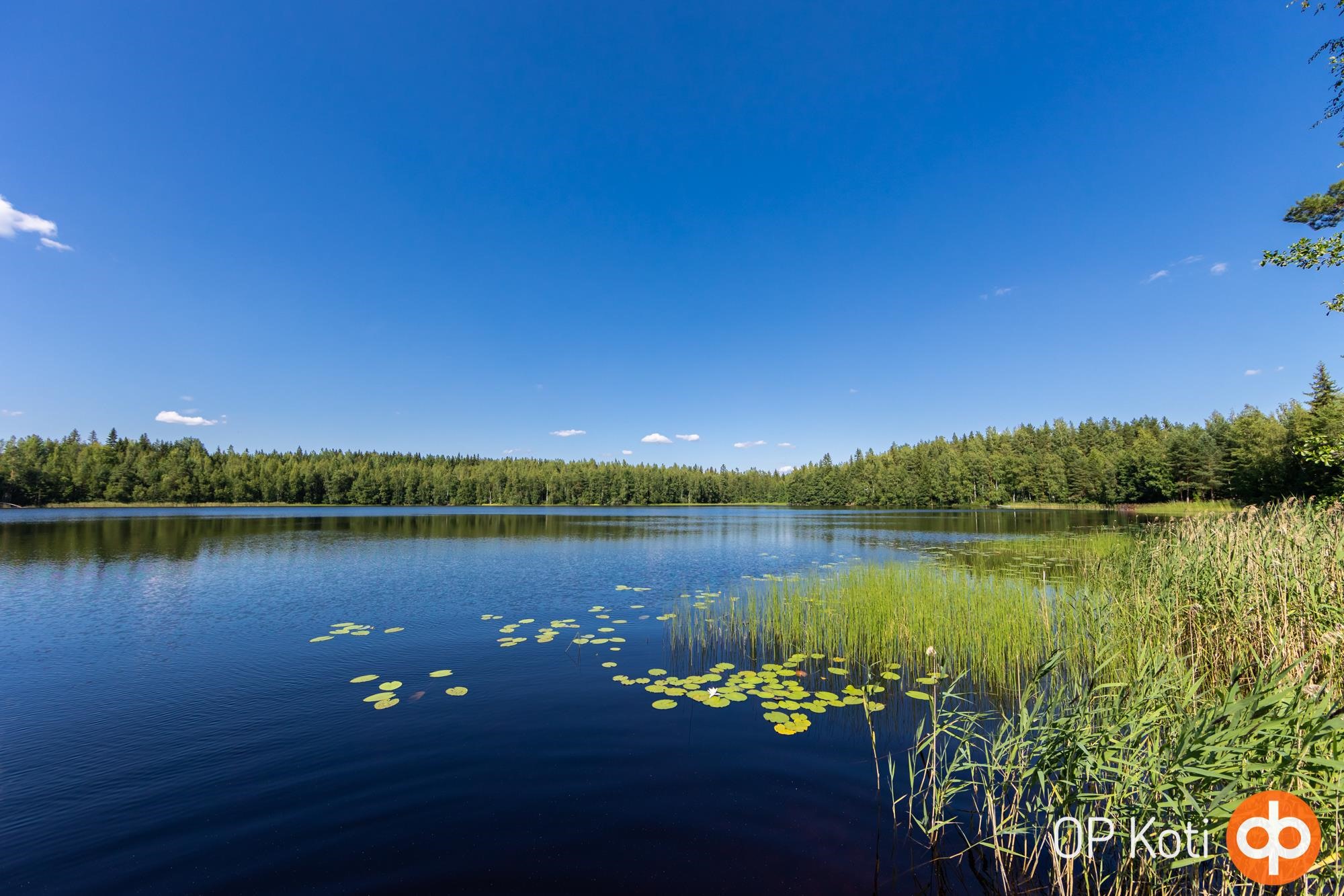 Kohdekuva 23