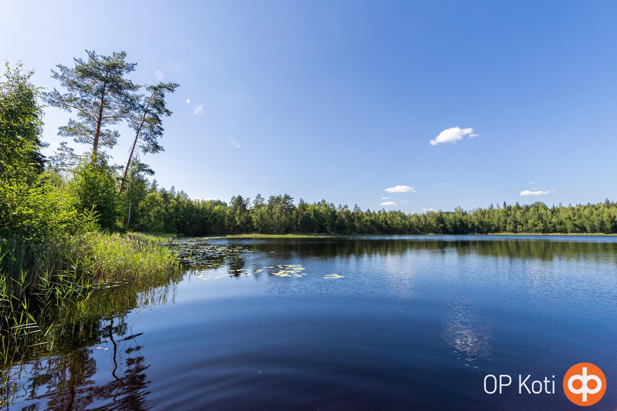 Kohdekuva 24