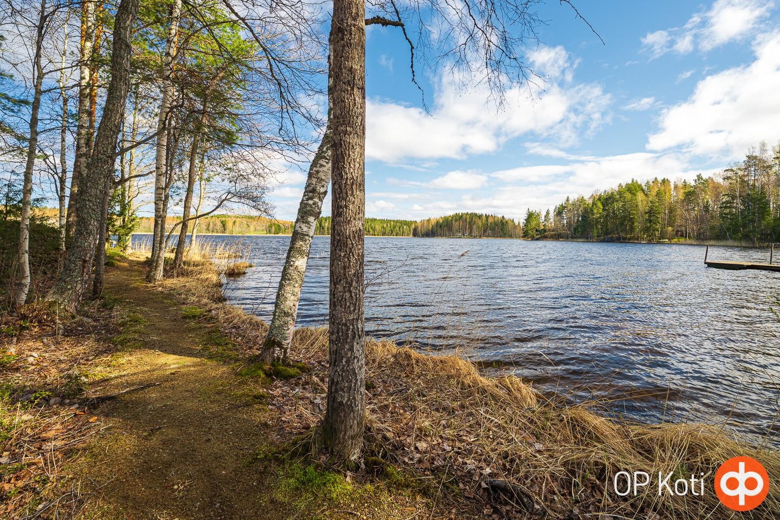Kohdekuva 31