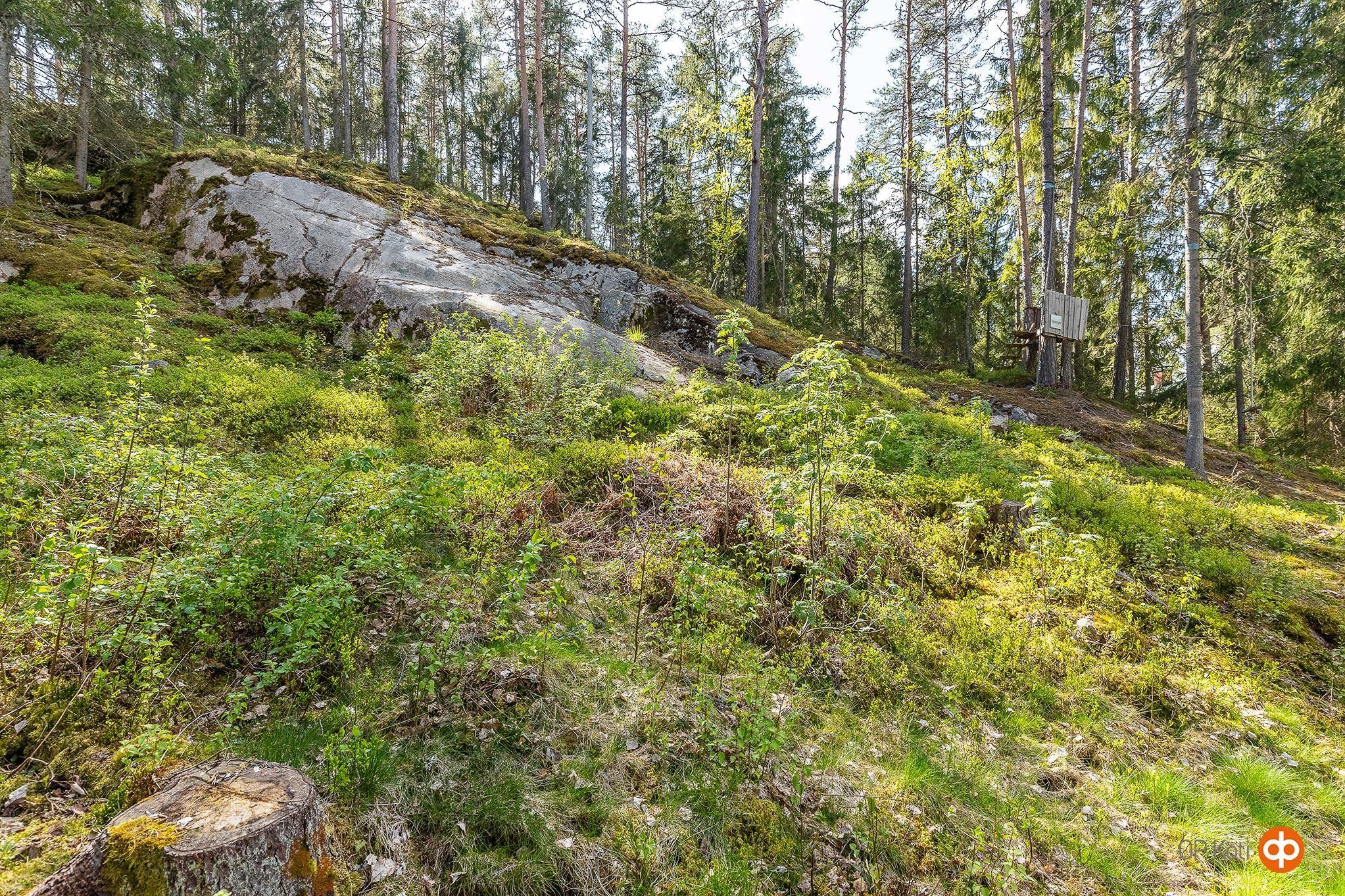 Kohdekuva 42