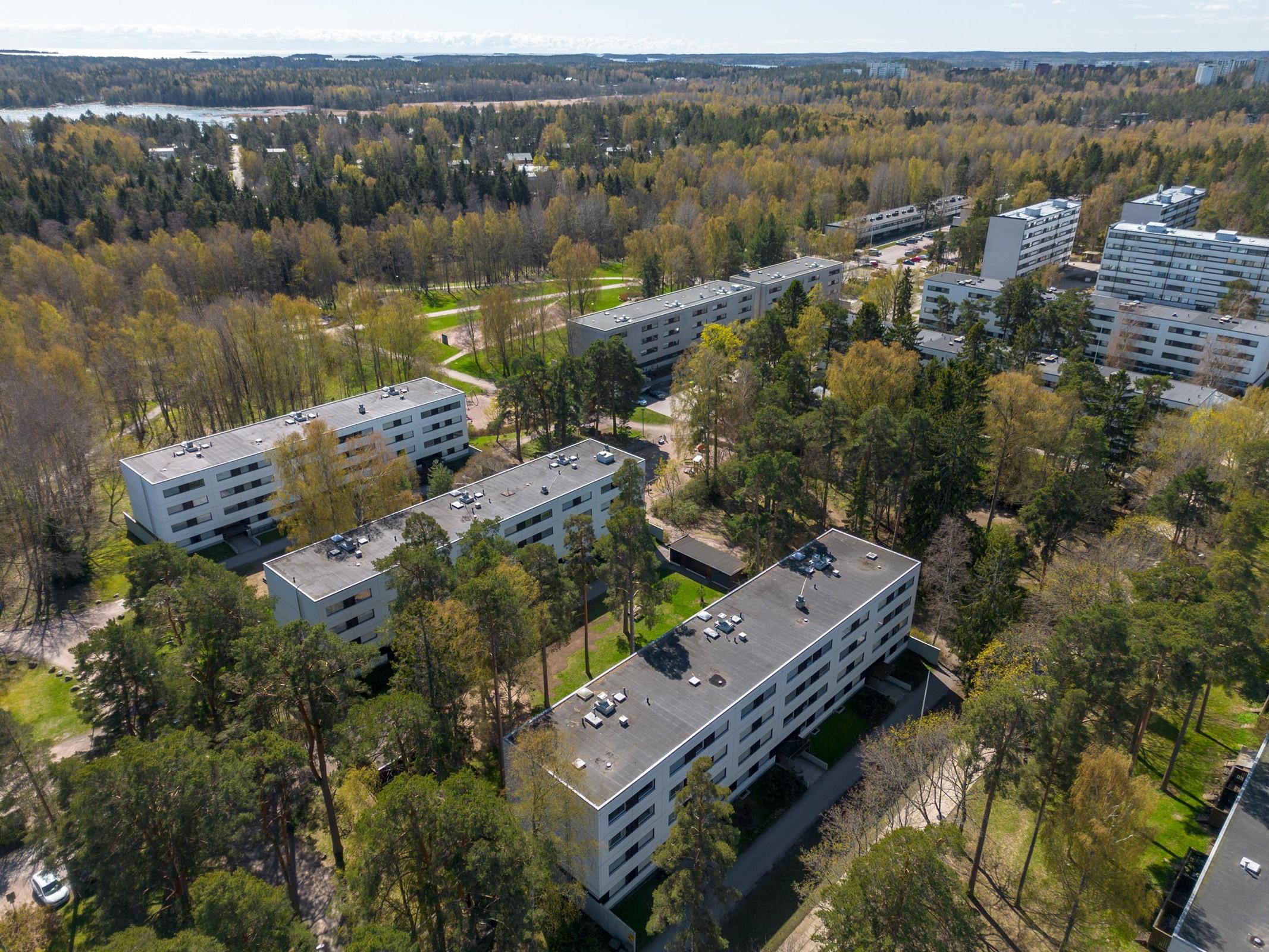 Kohdekuva 19