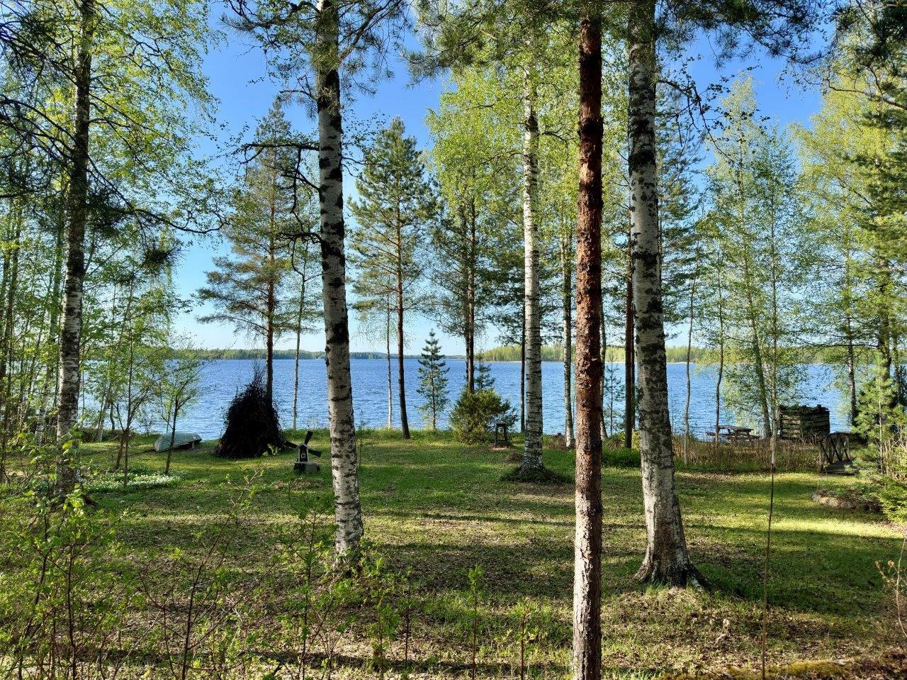 Kohdekuva 41