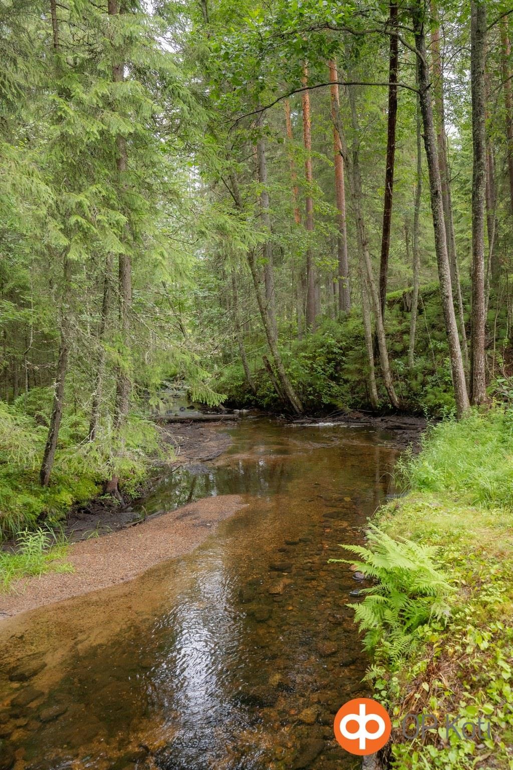 Kohdekuva 34