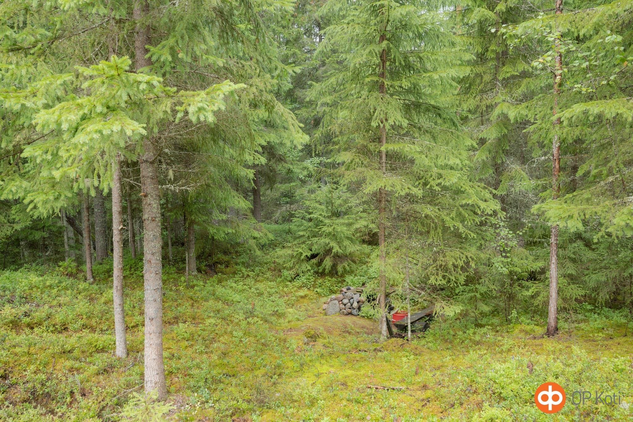 Kohdekuva 37