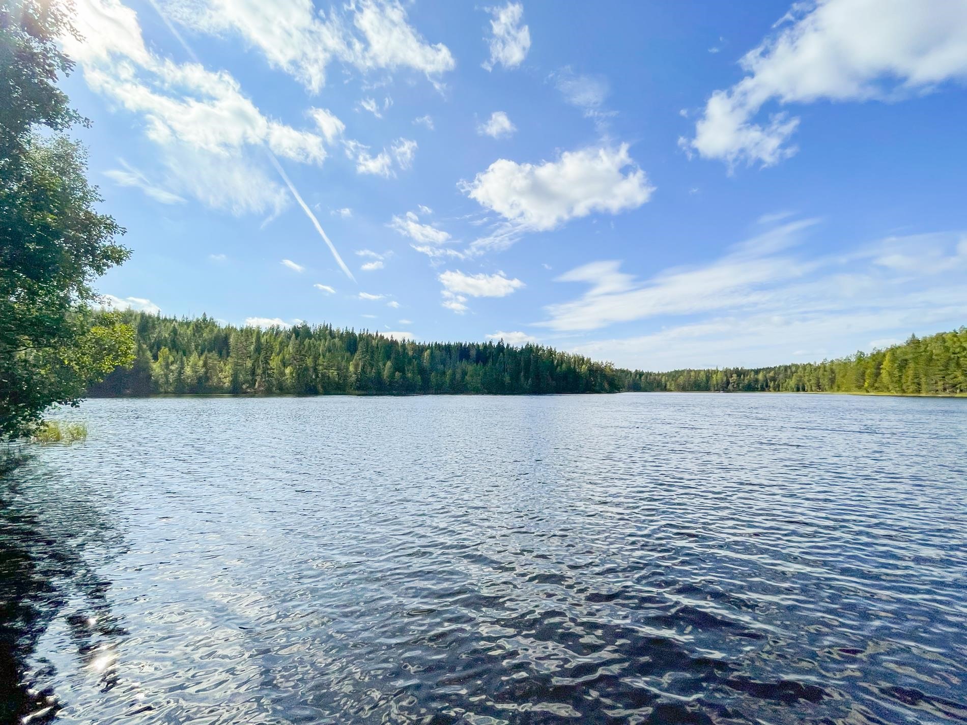Kohdekuva 9