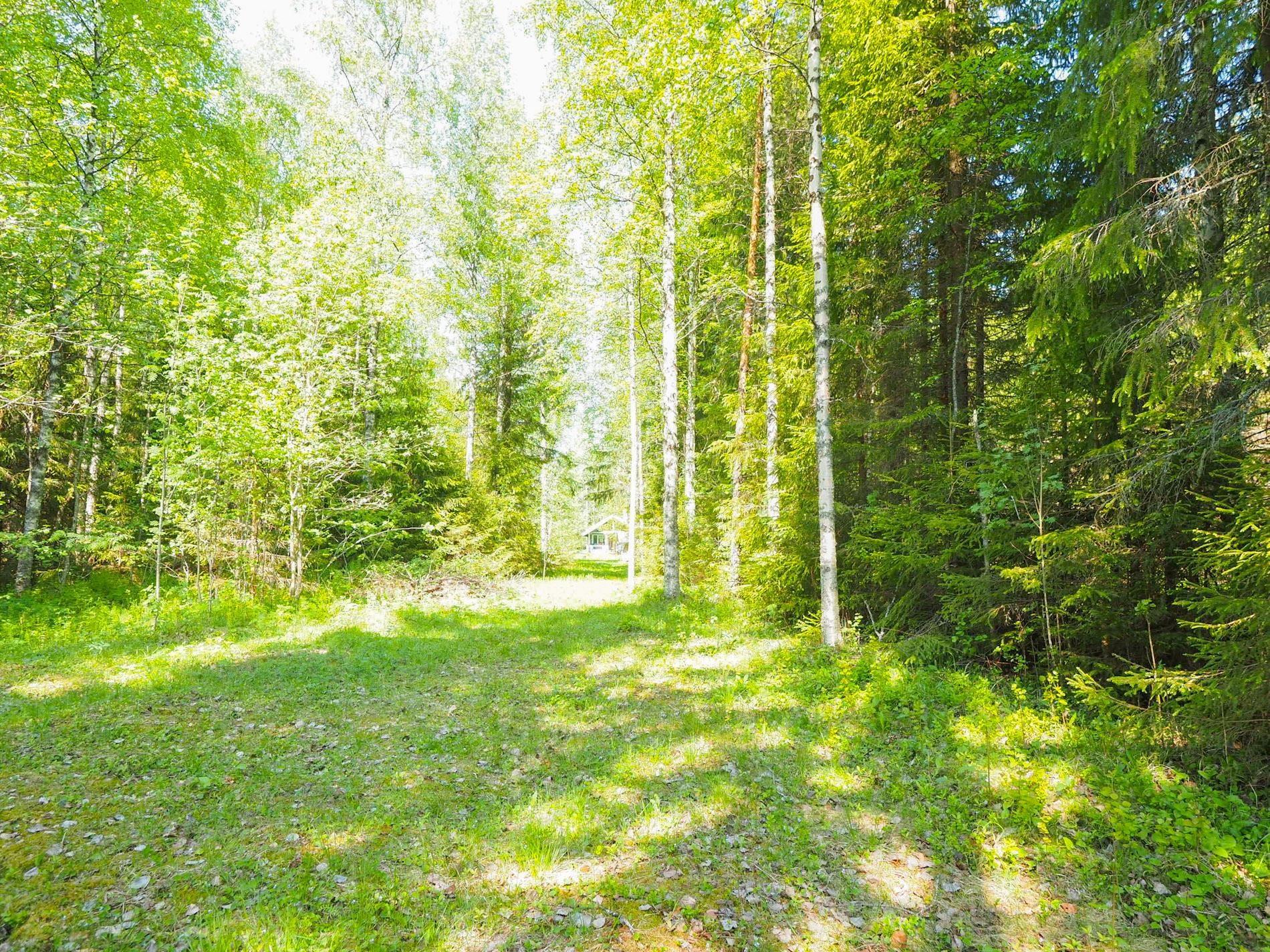 Kohdekuva 16