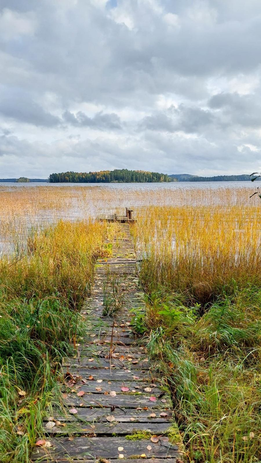 Kohdekuva 23