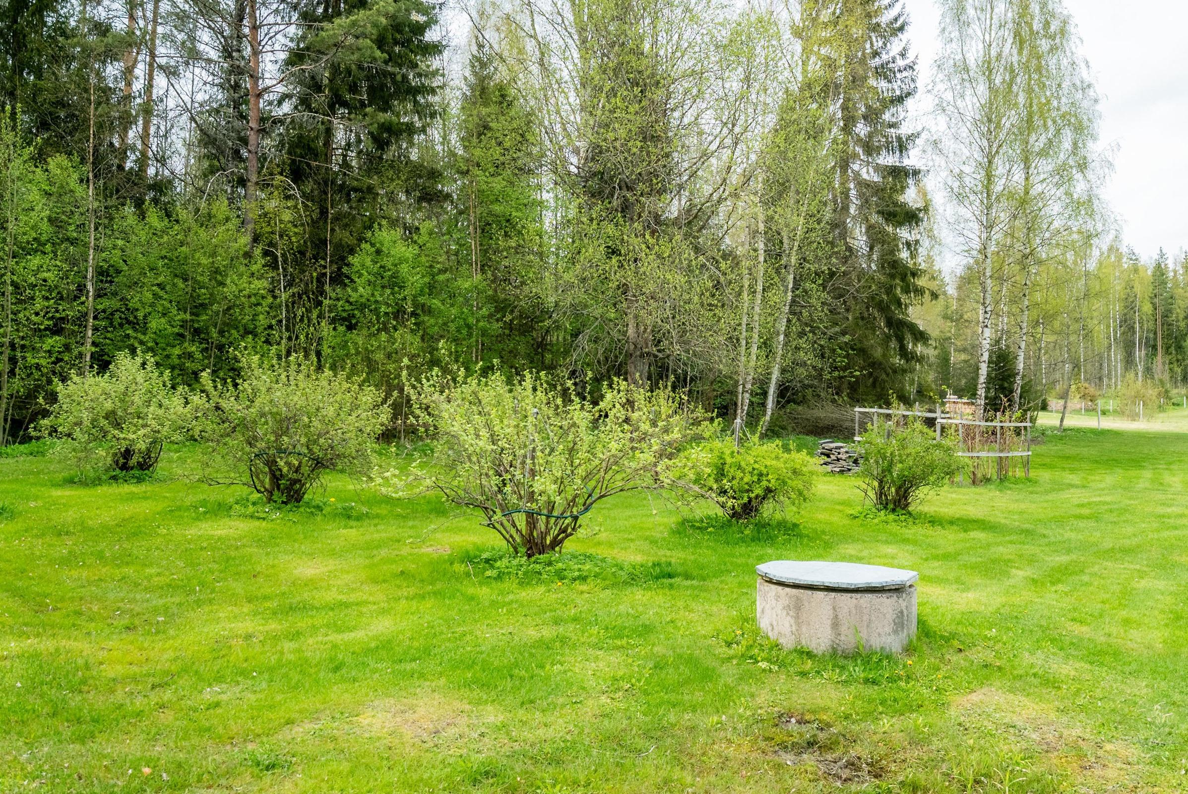 Kohdekuva 36