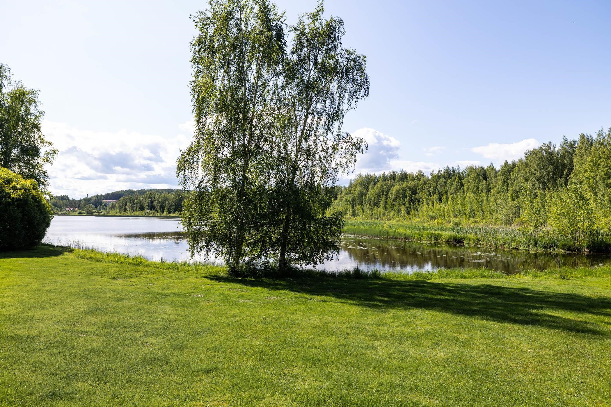 Kohdekuva 41