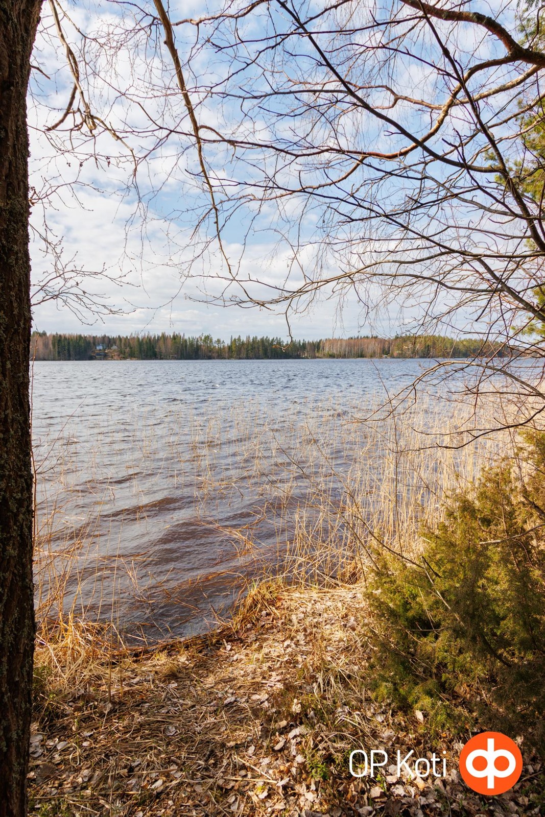 Kohdekuva 42