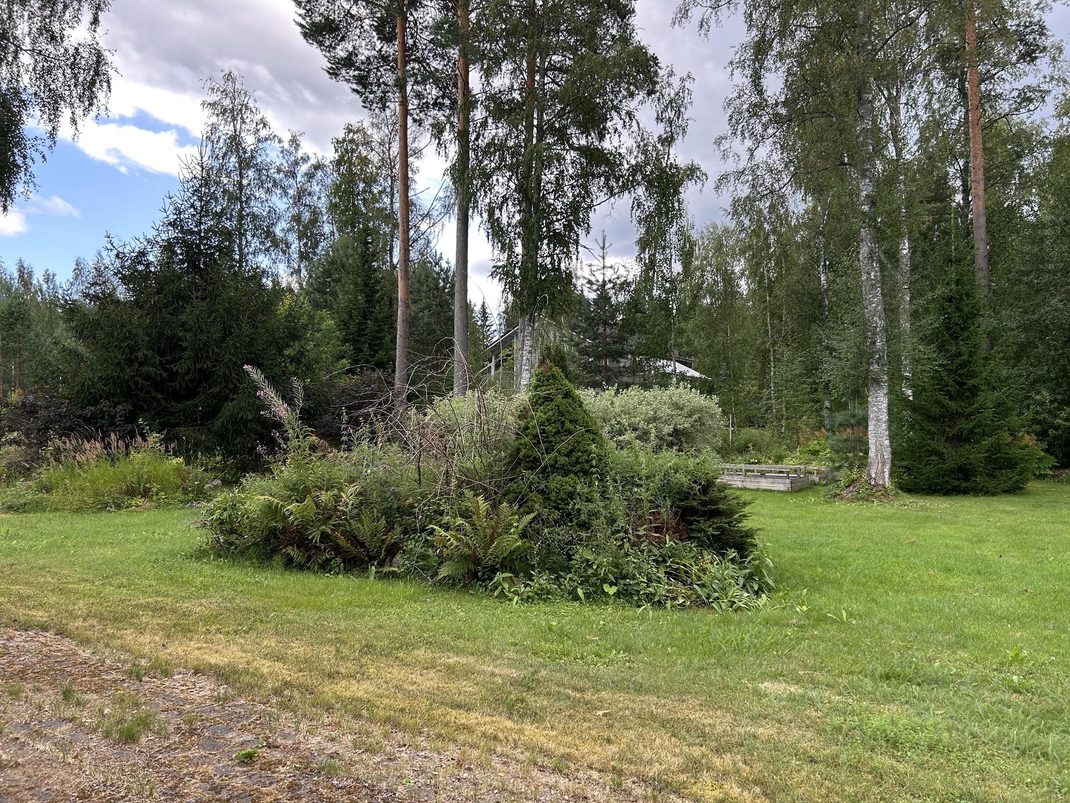 Kohdekuva 5