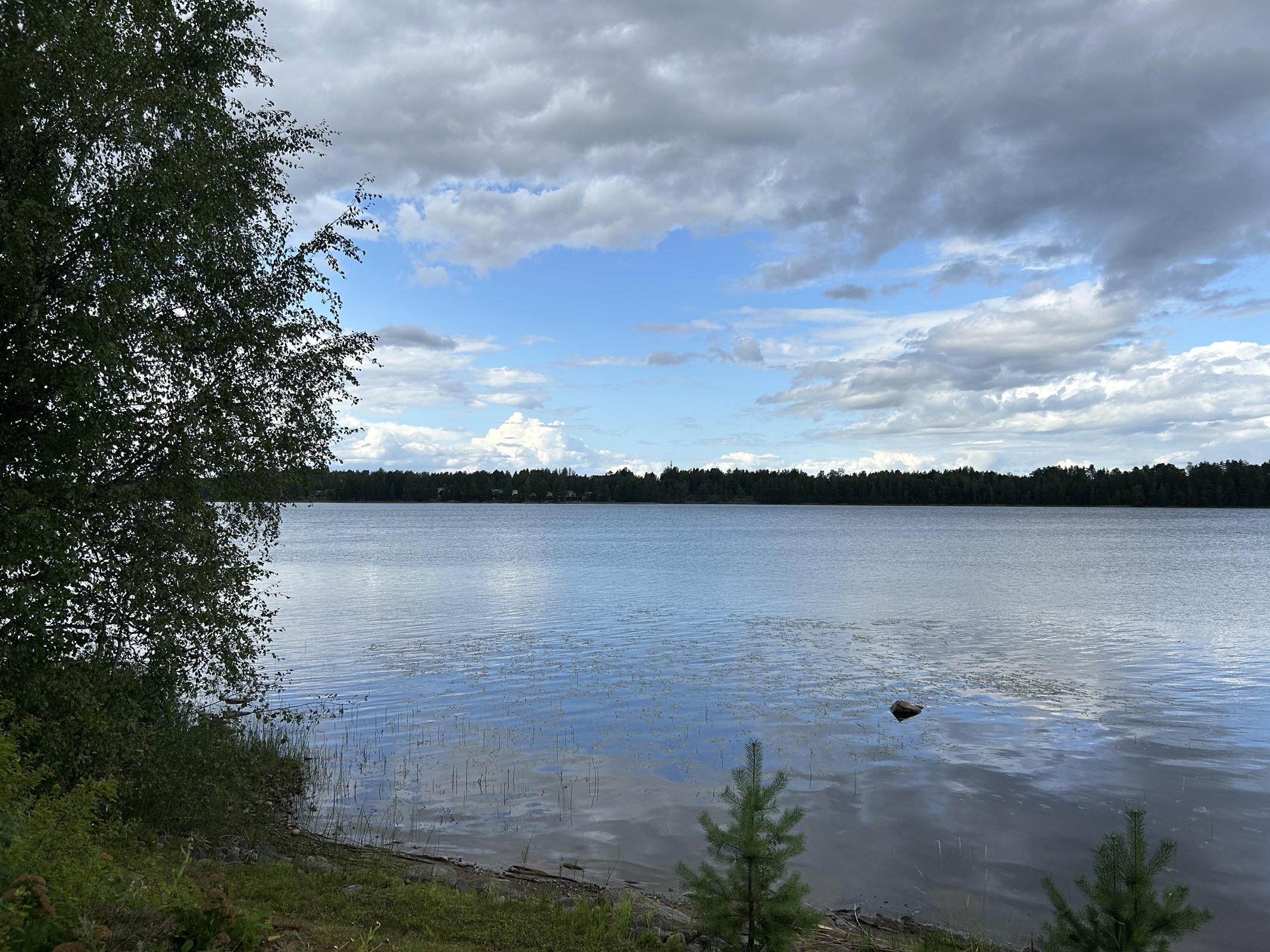 Kohdekuva 8