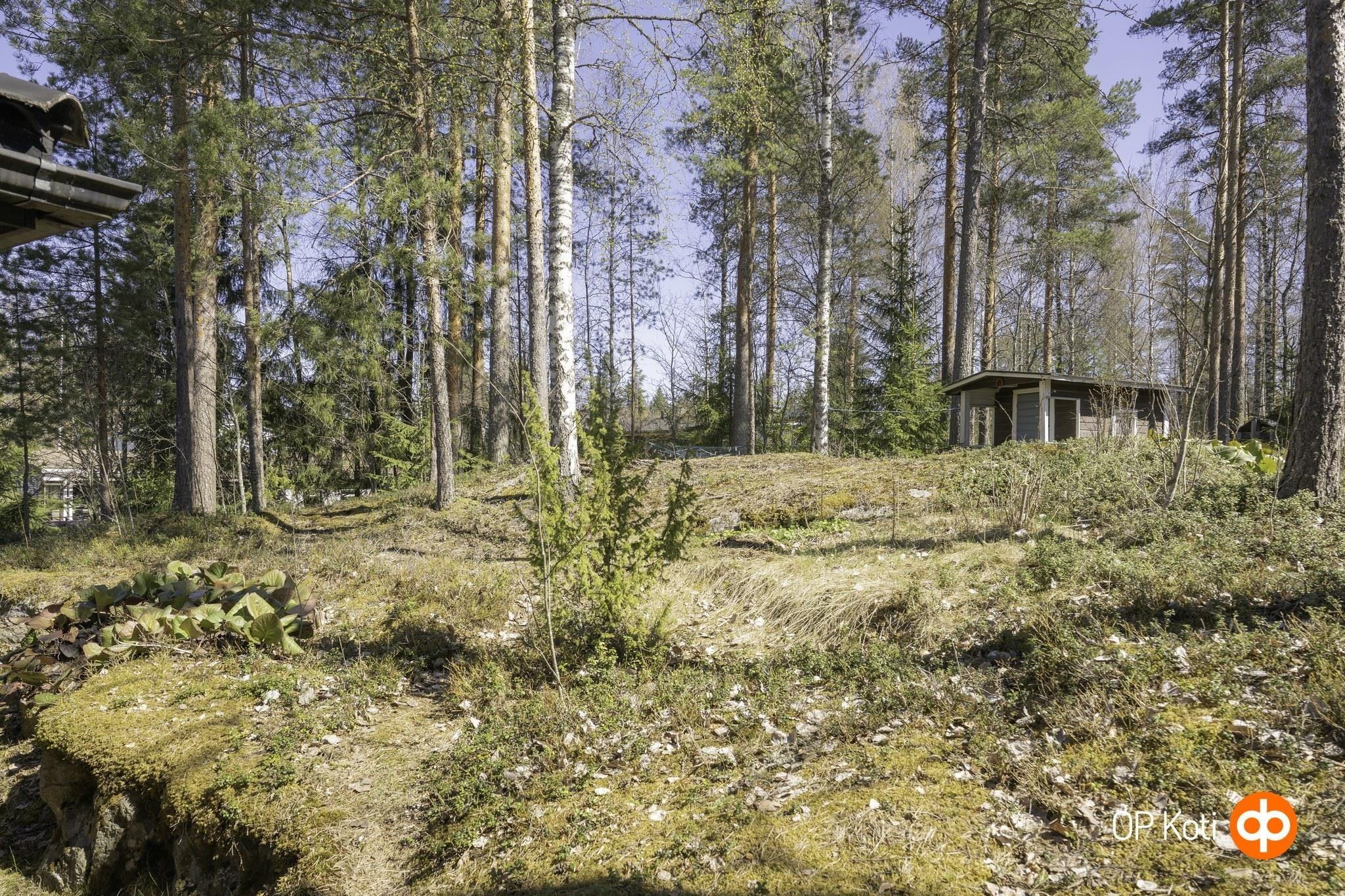 Kohdekuva 29
