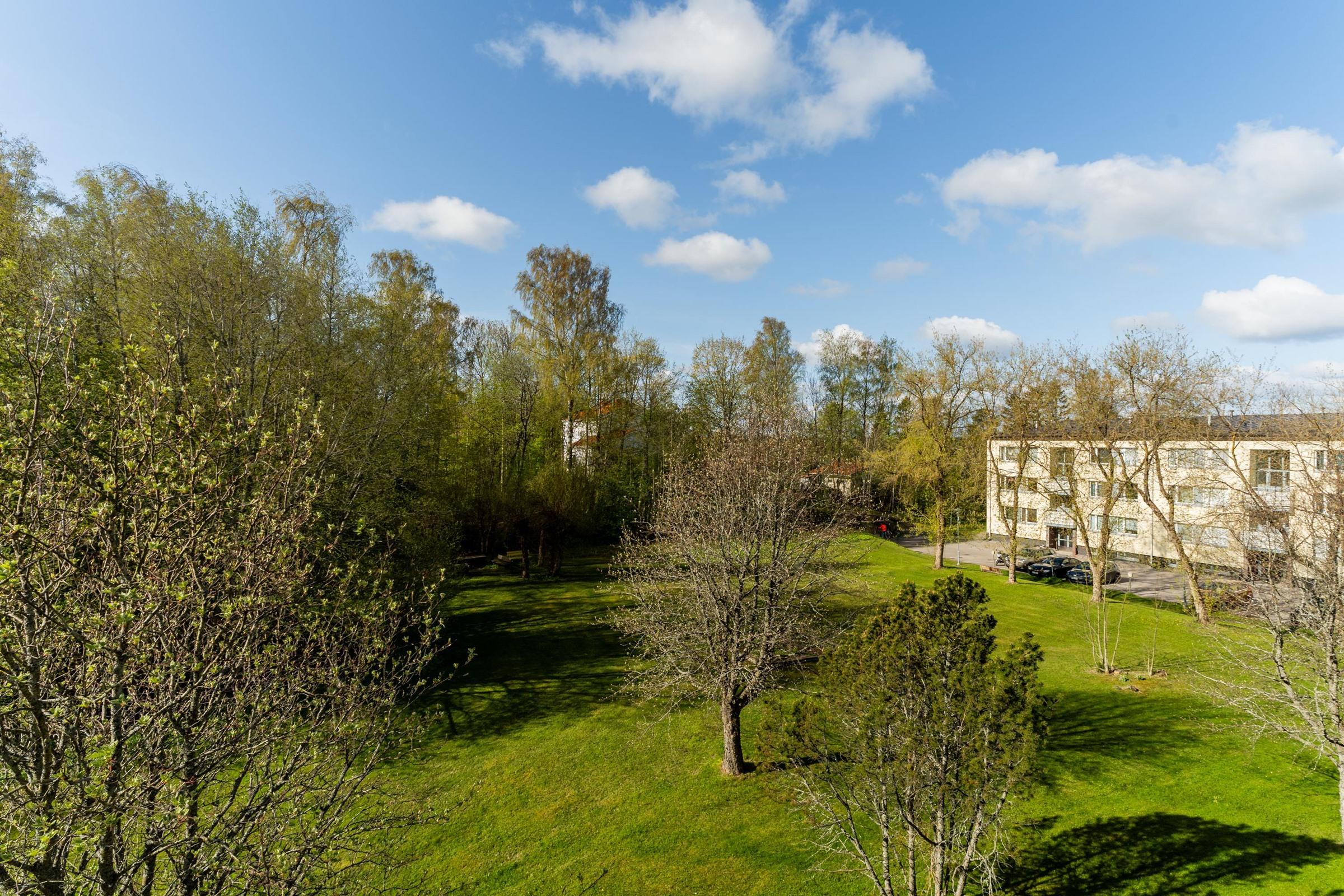 Kohdekuva 19
