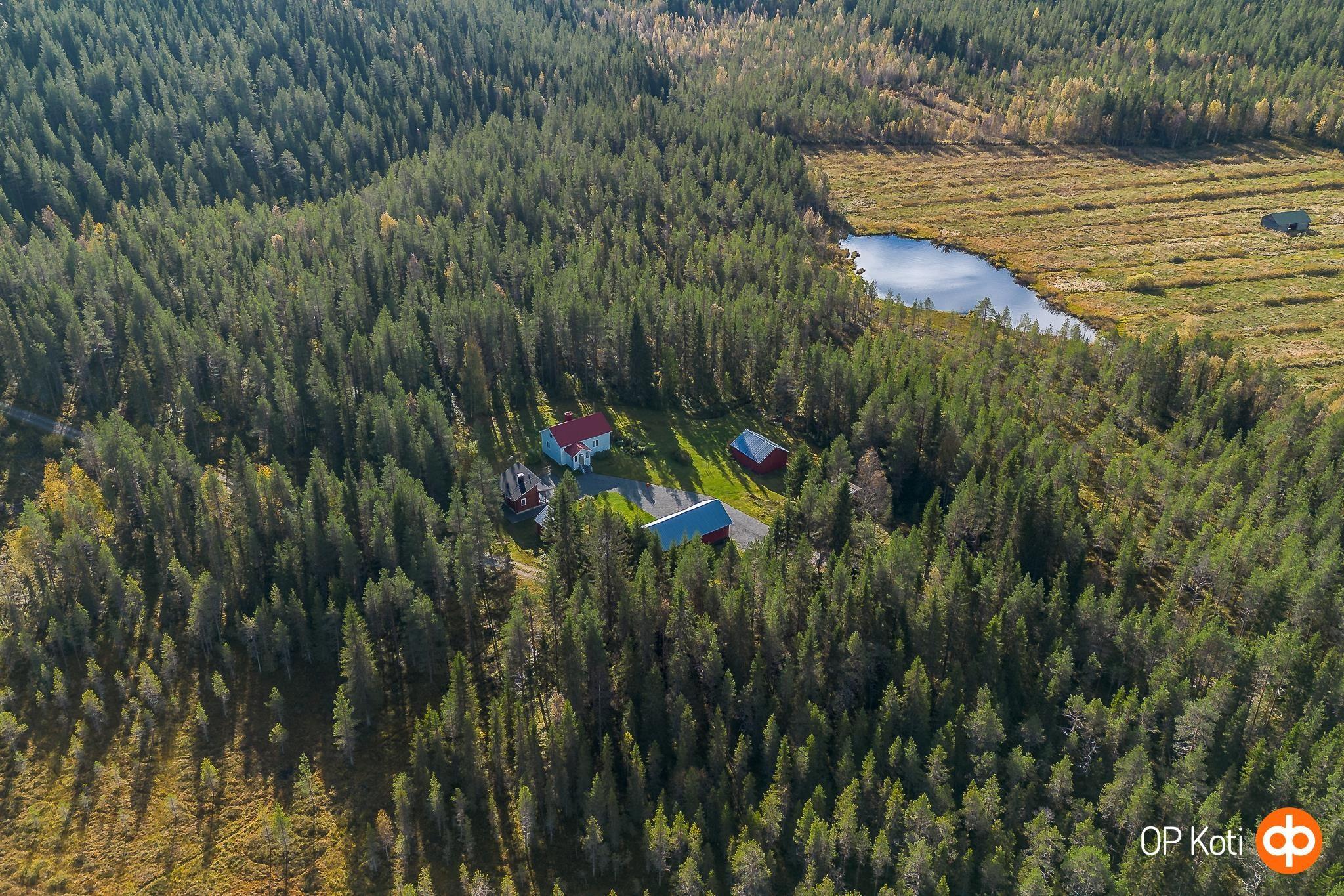 Kohdekuva 49