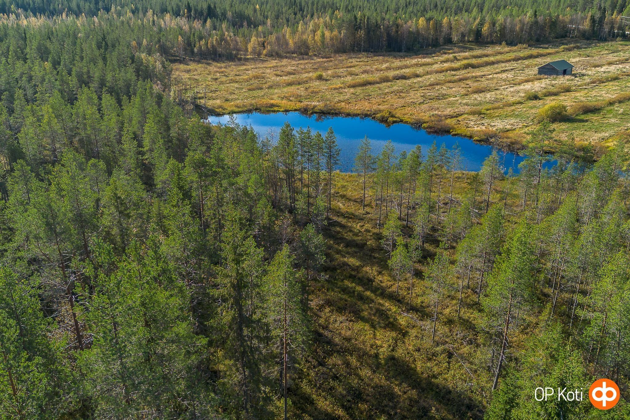 Kohdekuva 50