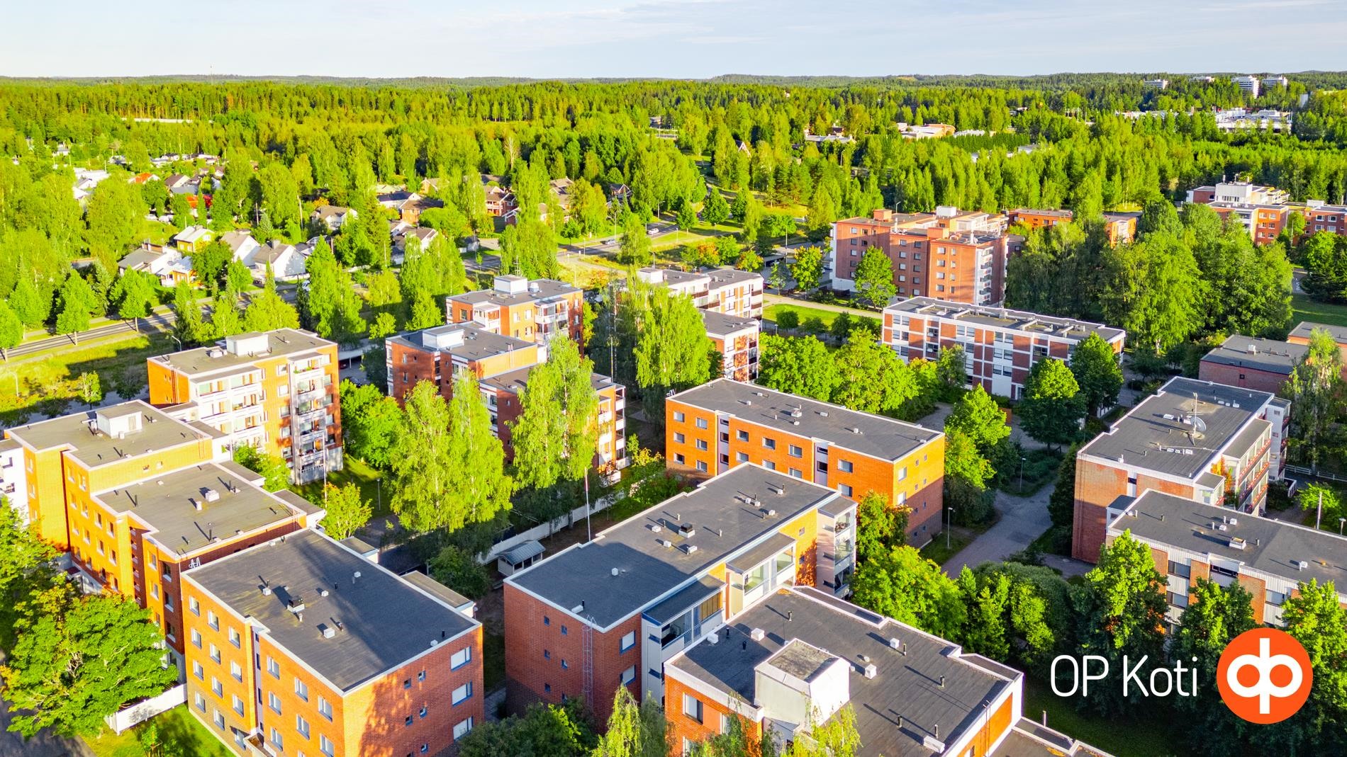 Kohdekuva 19