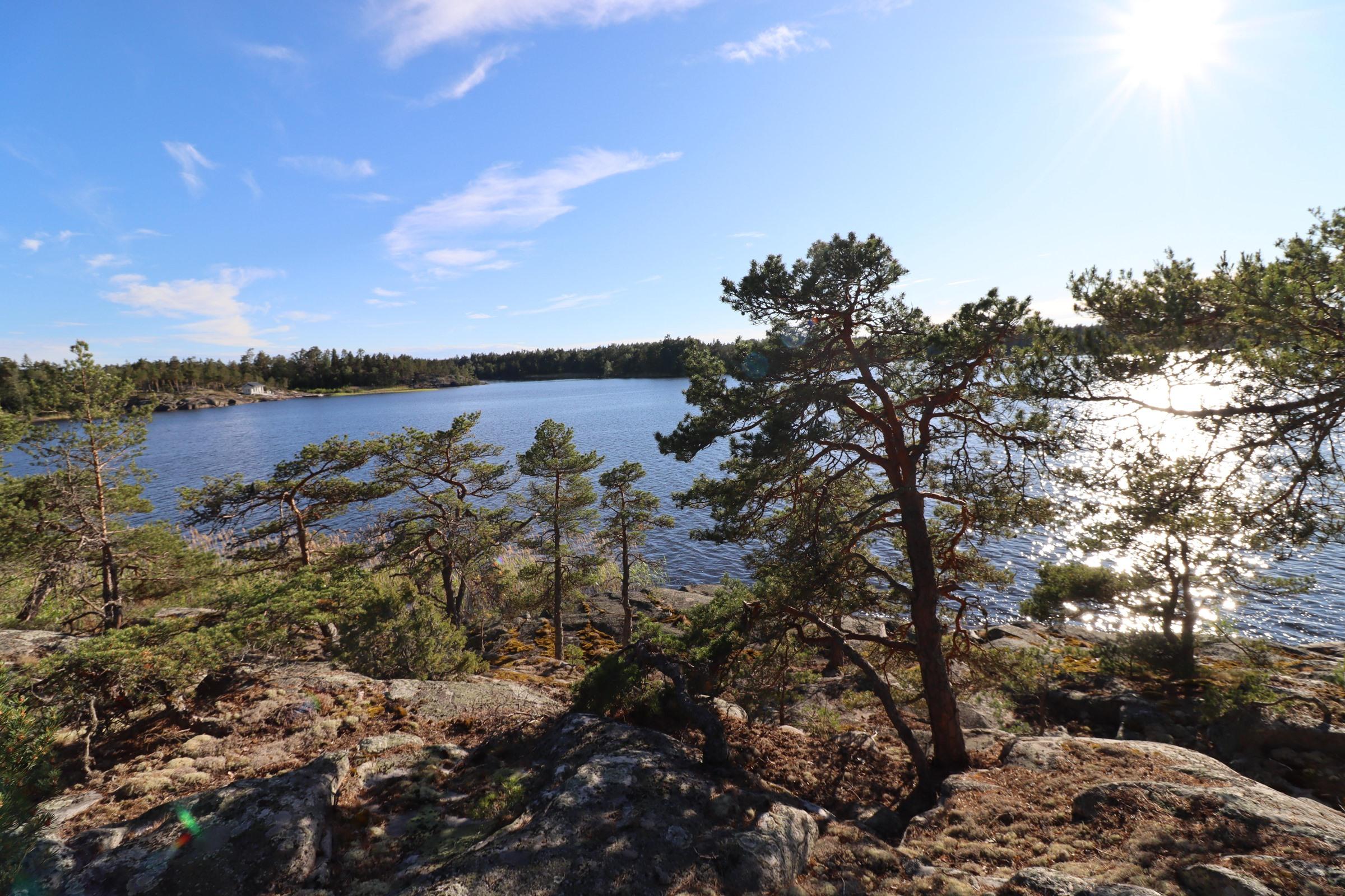 Kohdekuva 1