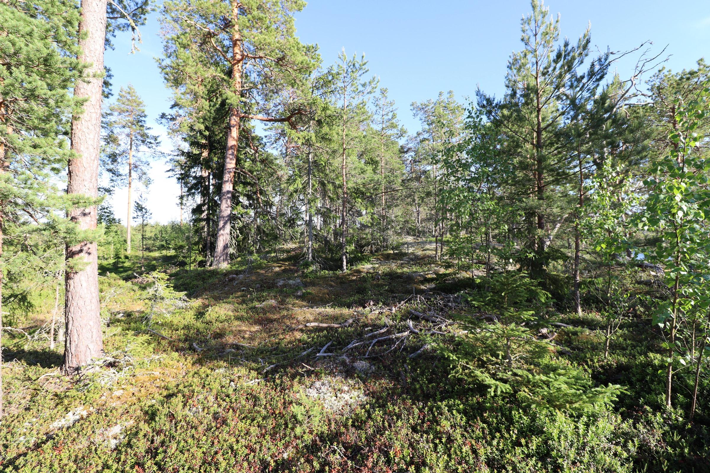 Kohdekuva 9