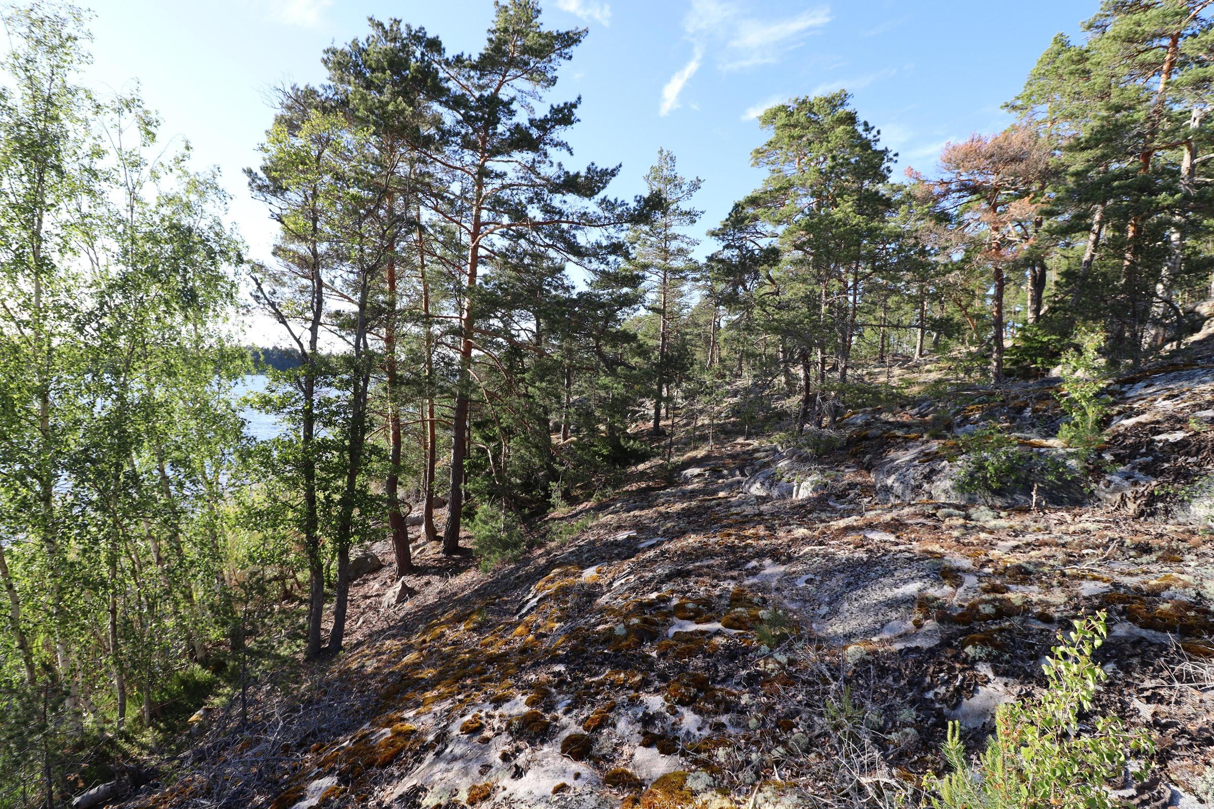 Kohdekuva 6
