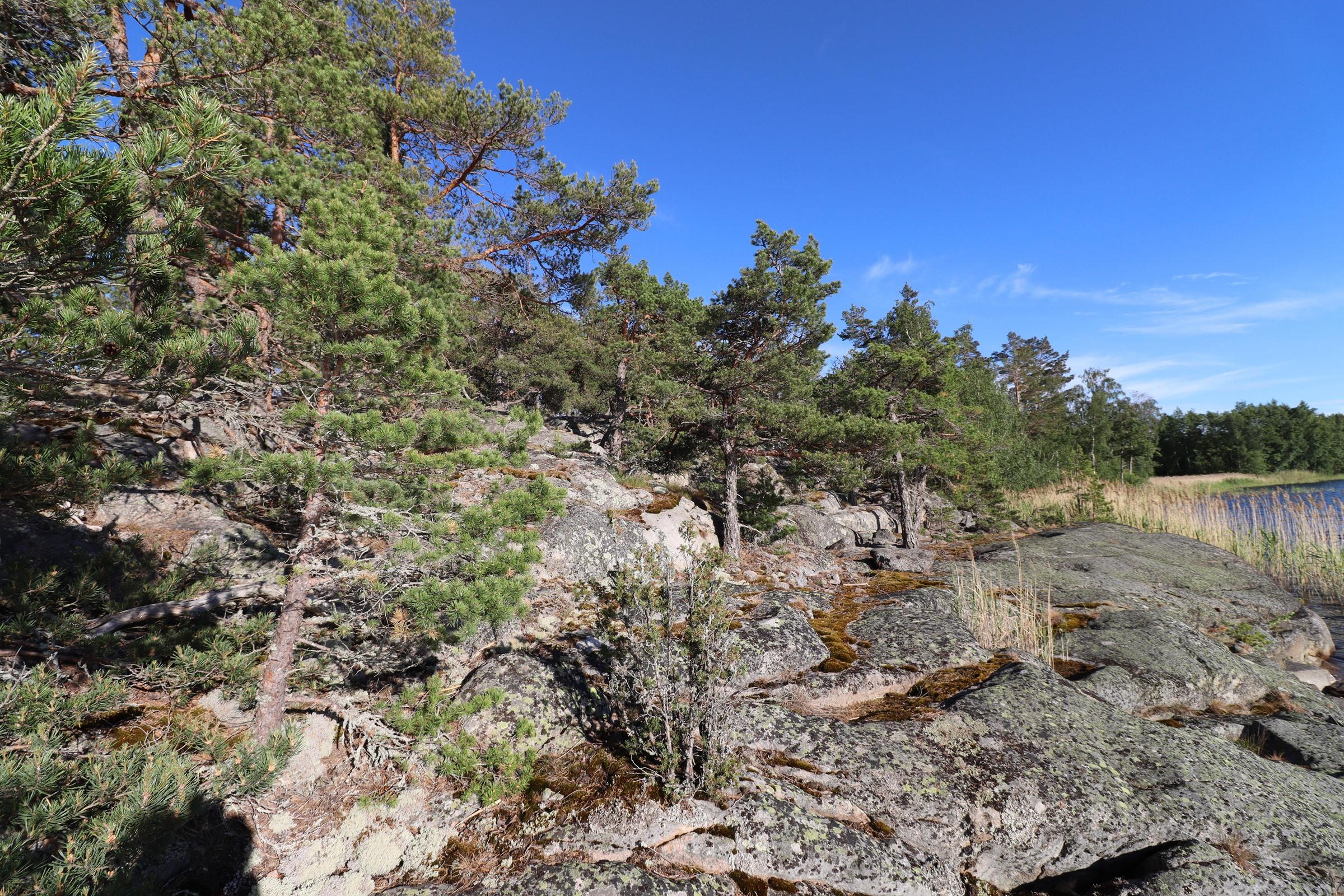 Kohdekuva 5