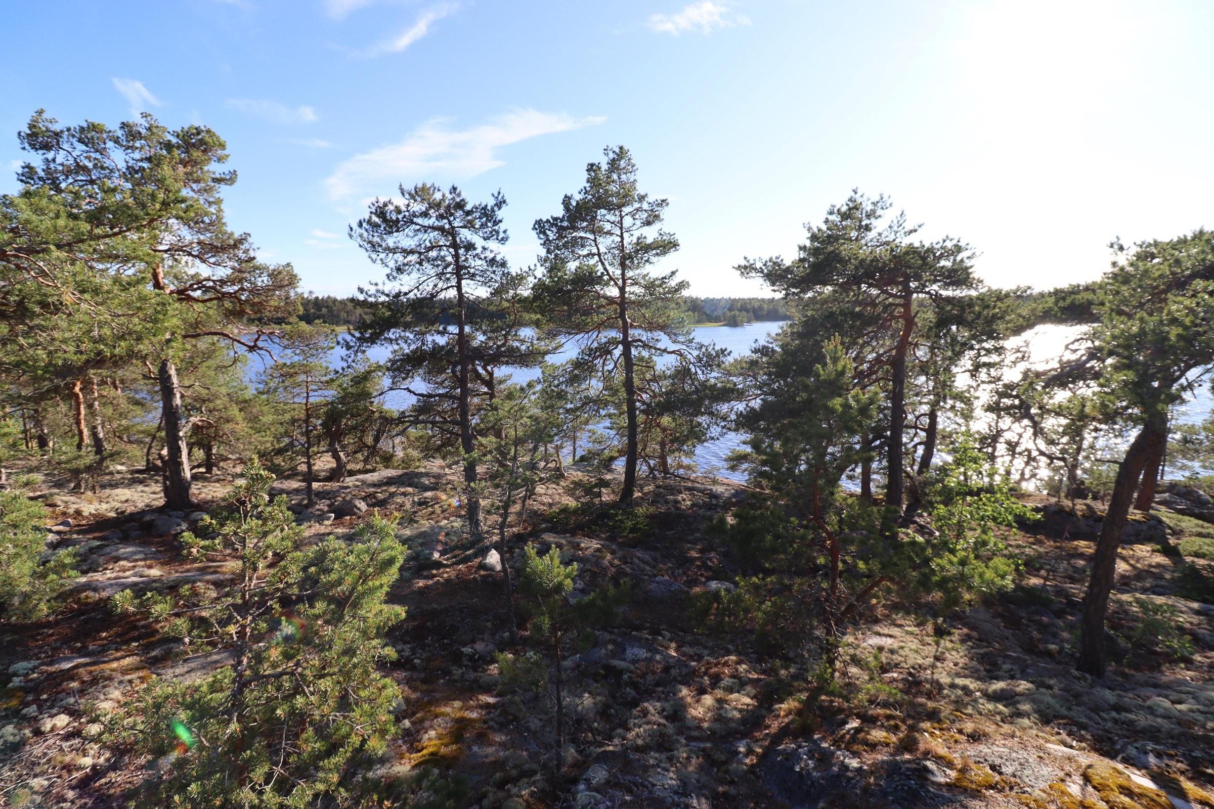 Kohdekuva 8