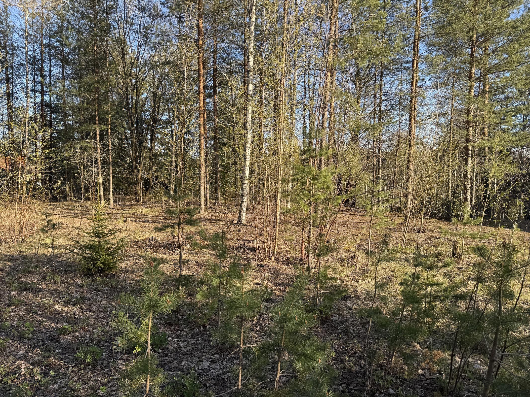 Kohdekuva 1