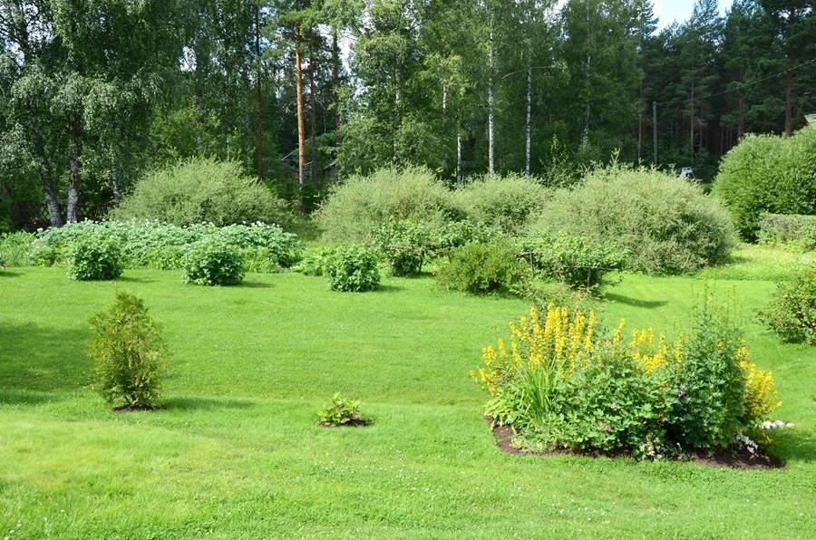 Kohdekuva 23