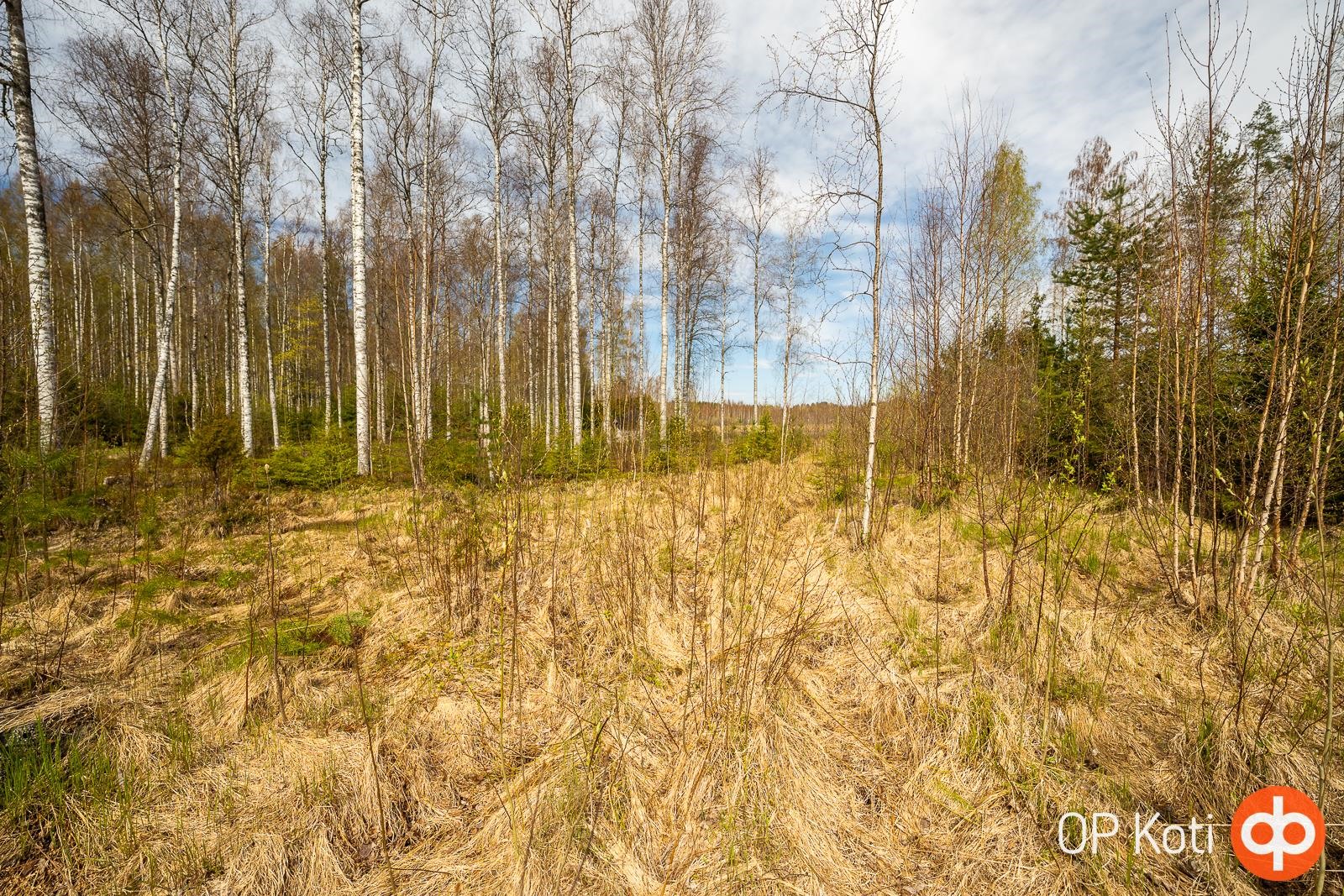 Kohdekuva 7