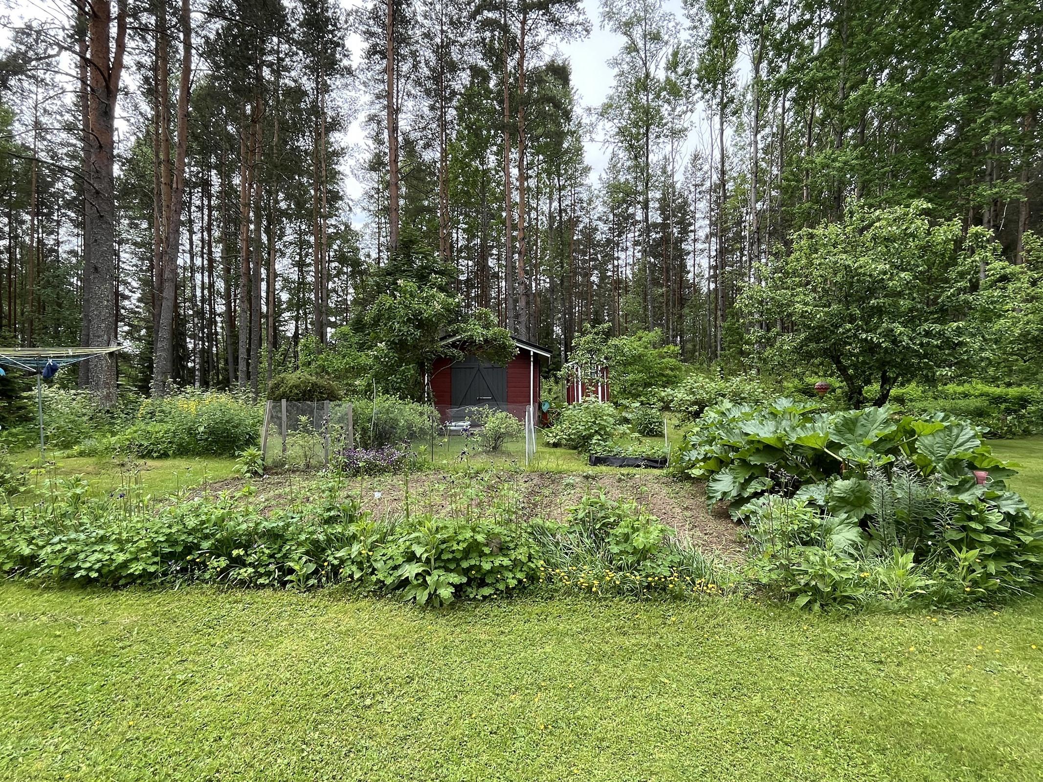 Kohdekuva 19