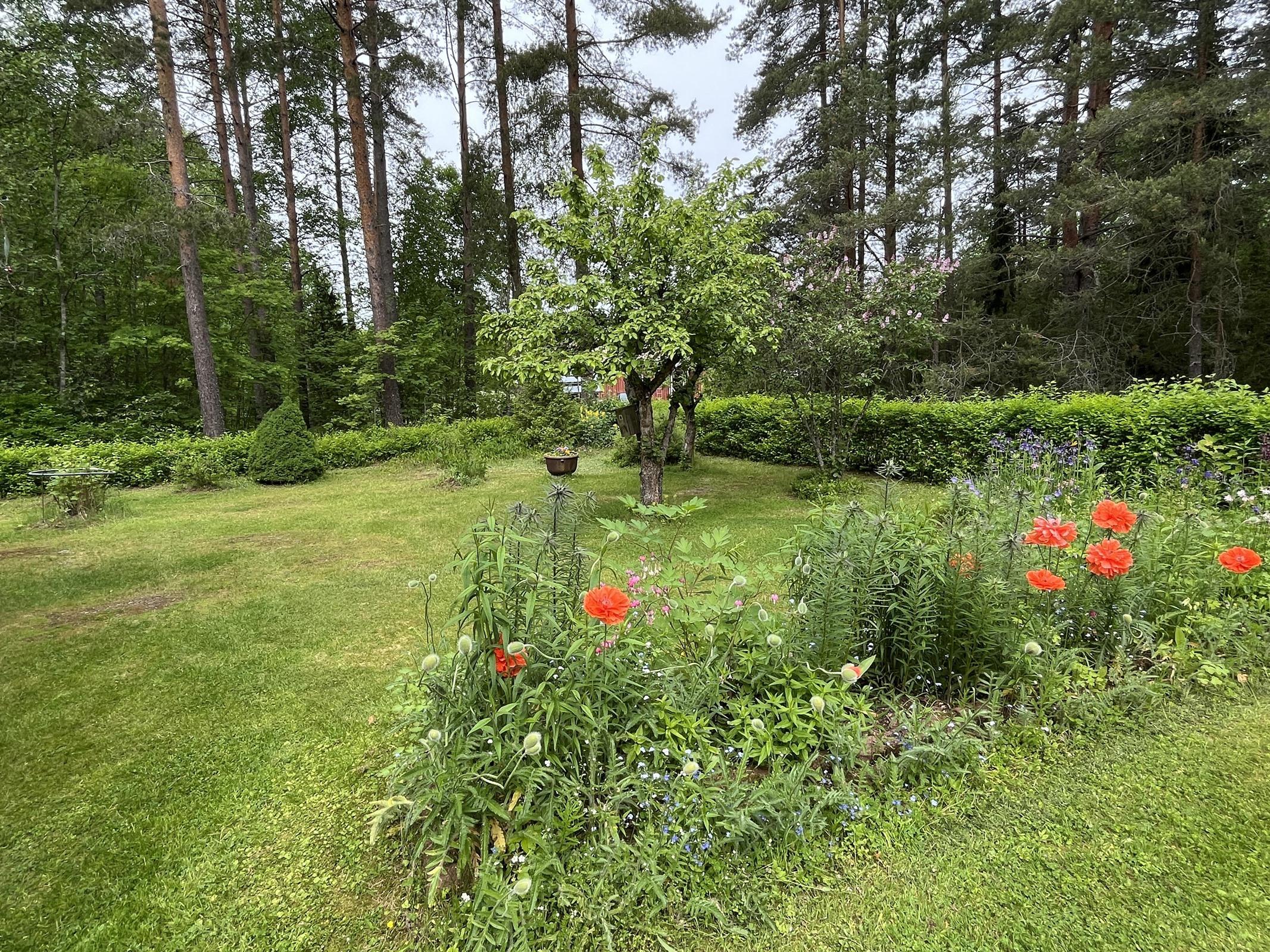 Kohdekuva 10