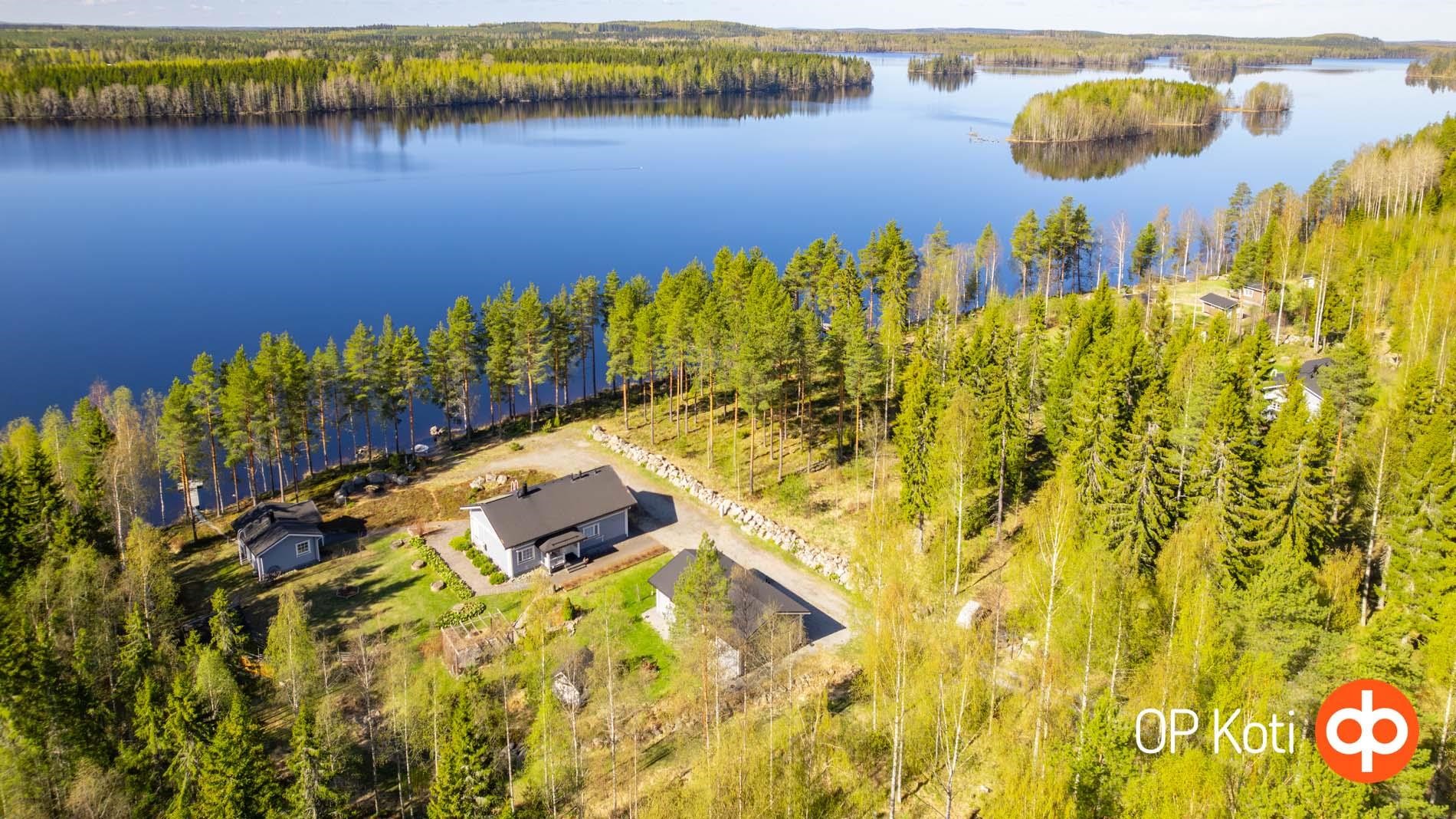 Kohdekuva 50
