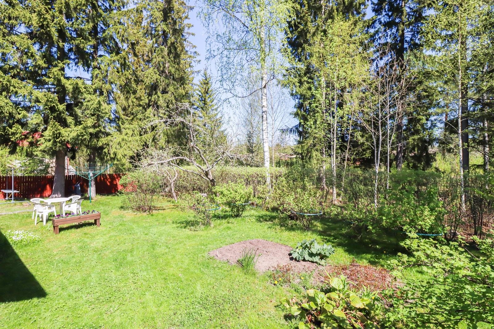 Kohdekuva 18