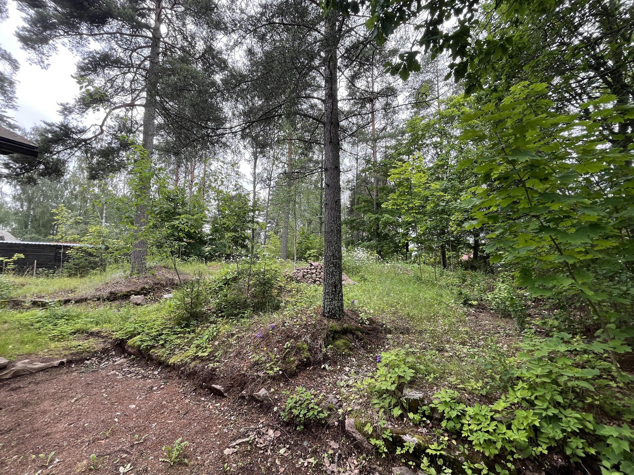 Kohdekuva 14