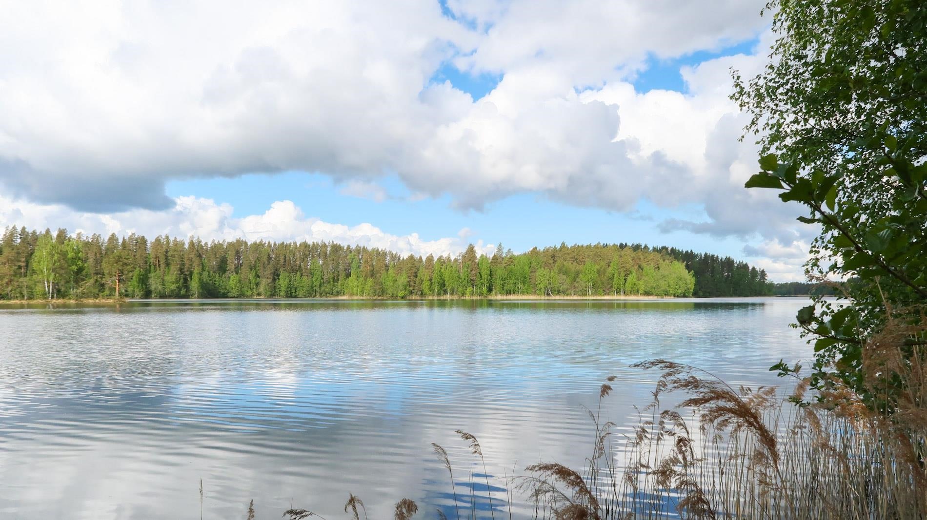 Kohdekuva 22