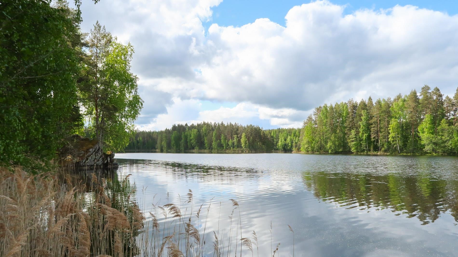 Kohdekuva 21