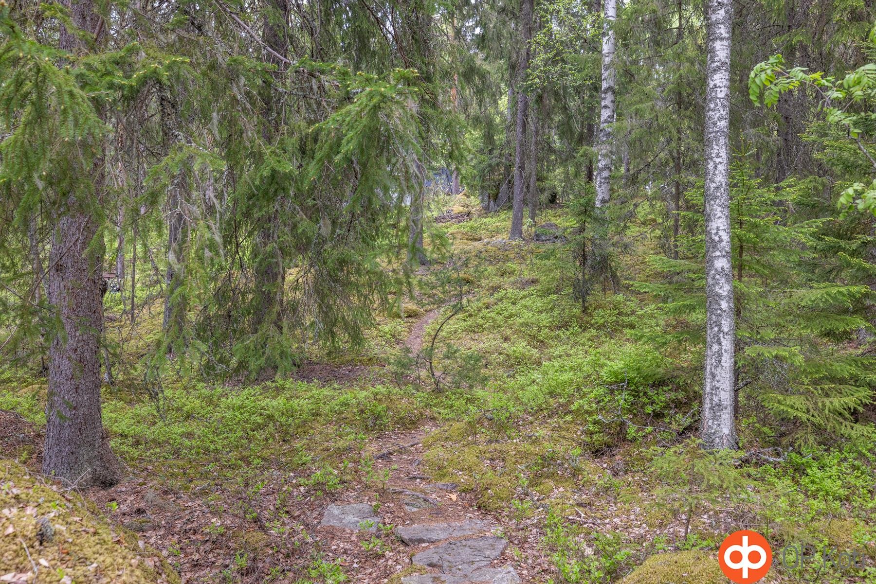 Kohdekuva 25