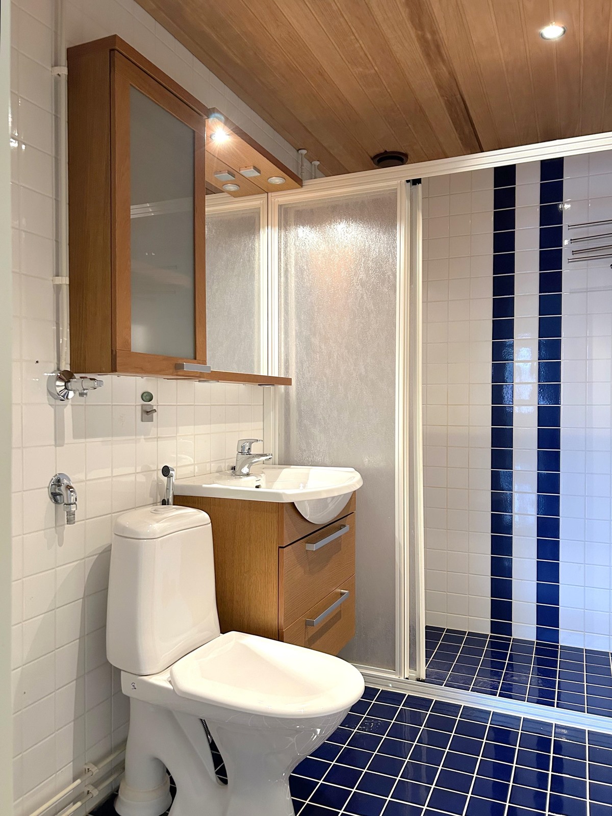 Kylpyhuoneen wc-istuin