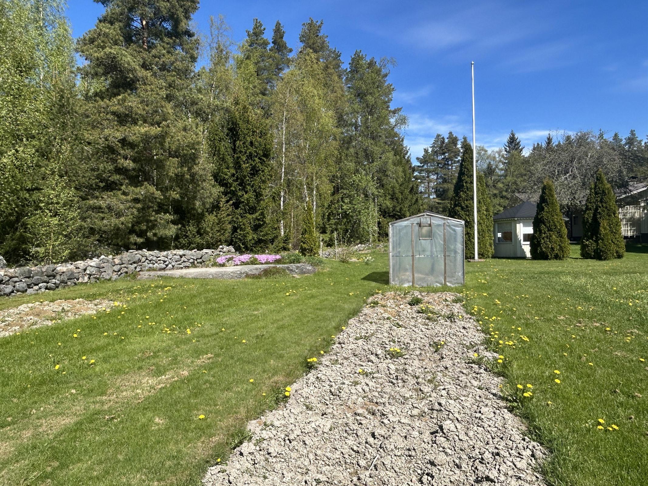 Takapihaa