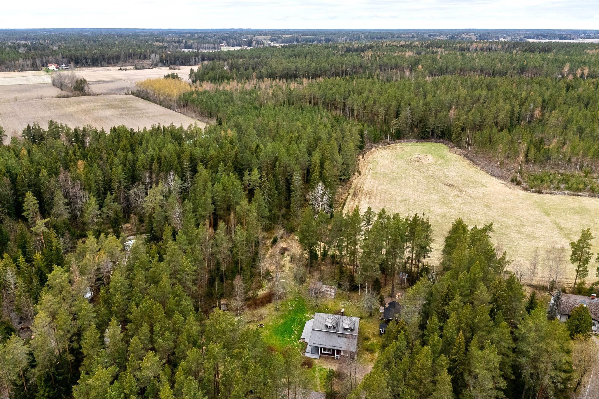 Kohdekuva 40