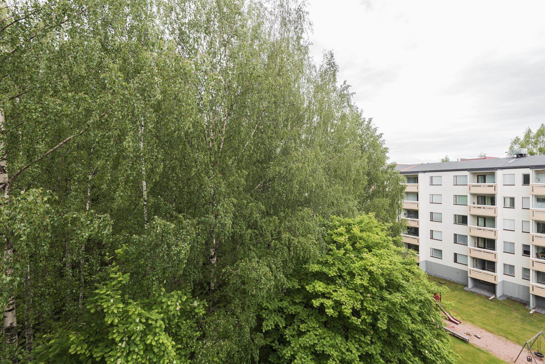 Kohdekuva 14