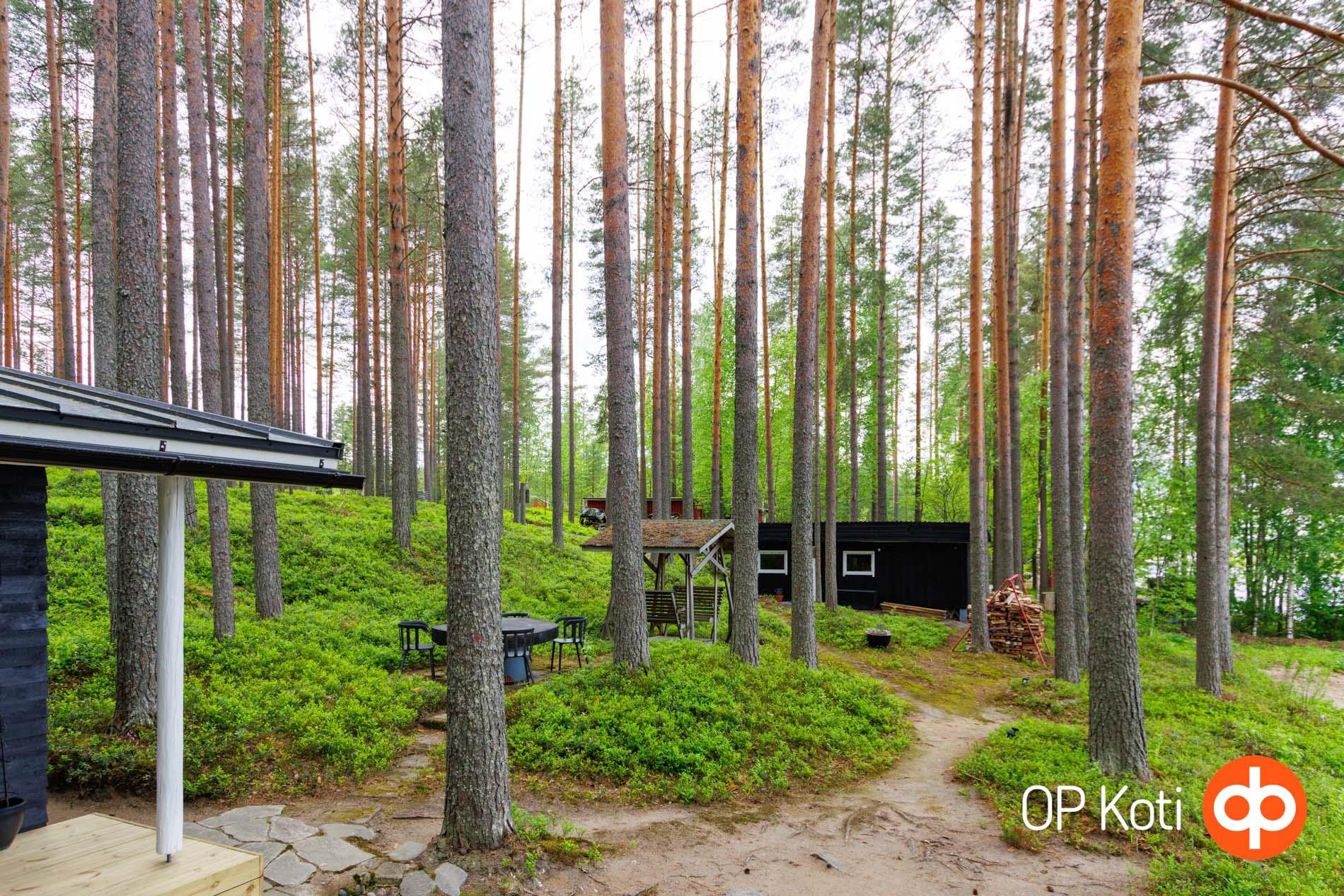 Kohdekuva 19