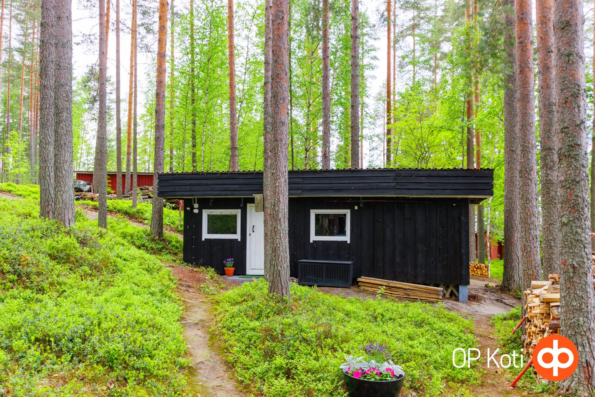 Kohdekuva 11